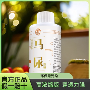 贾东普麝香中药酒马尿钓鱼小药中药酒黑坑鲤鱼裸斑框镜饵料添加剂