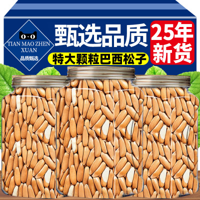 大颗粒巴西松子2025新货