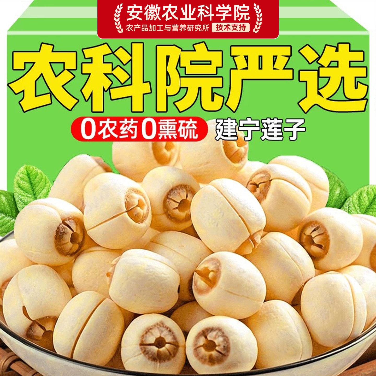 莲子干货500g特级去芯新鲜官方旗舰店2025年湘潭湖南干货批发优质
