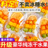 水果茶茶包金桔柠檬百香果茶冷泡冲饮冻干柠檬片泡水喝独立小包装