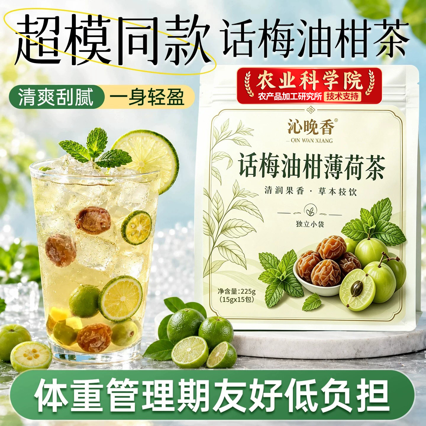 话梅油柑薄荷茶官方旗舰正品冻干柠檬油柑冷泡水果茶夏日解腻茶包