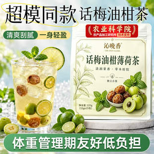 话梅油柑薄荷茶官方旗舰正品冻干柠檬油柑冷泡水果茶夏日解腻茶包