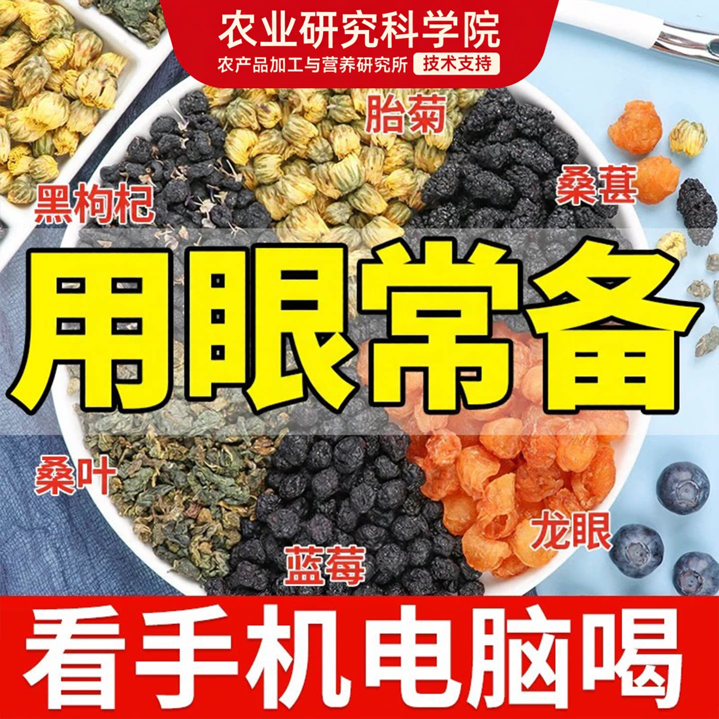 蓝莓叶黄素桑葚黑枸杞龙眼菊花养生茶熬夜护呵眼泡水喝的东西水果
