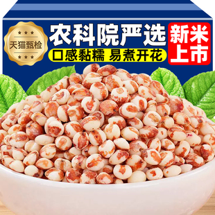粘糯高粱米红高粱2025年新米东北特产官方旗舰店白高粱米糖尿病人