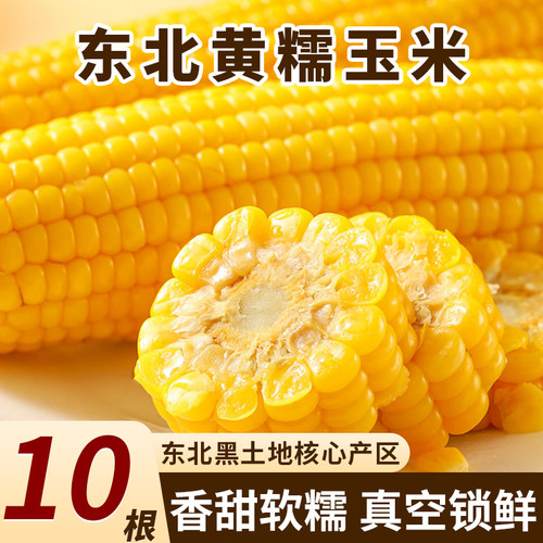 2025新鲜东北黄糯甜玉米真空包装