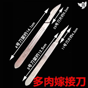 侧芽处理多用手工盆景盆栽两用嫁接刀仙人掌专业嫁接刀专用蟹爪兰