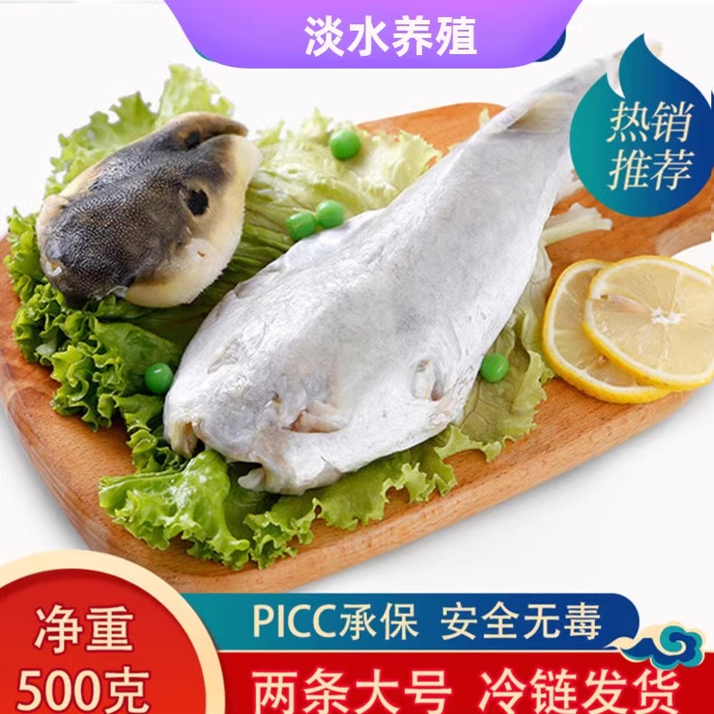 宰杀650g已处理淡水条装河豚鱼