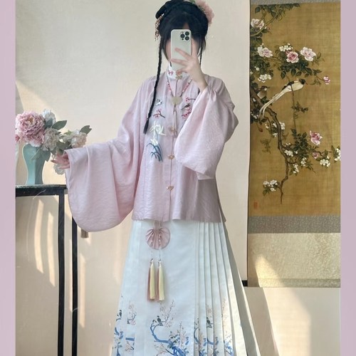 刺绣立领琵琶袖对襟短衫提花马面