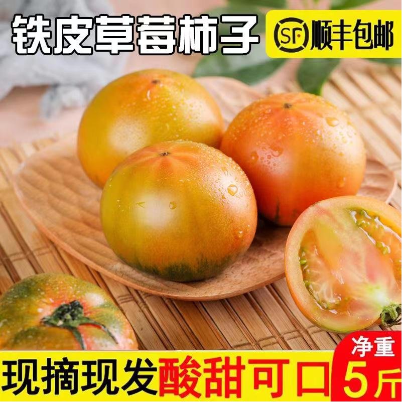 现摘现发铁皮西红柿坏果包赔