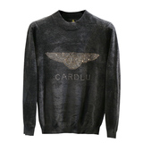 2025秋冬新款男士毛衣潮牌天鹅绒针织衫QT60668005P120，男装针织衫/毛衣，钱塘6066（原711）