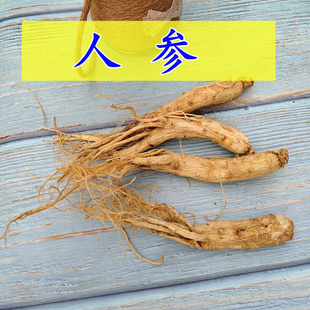 人参整支整治整根带须50克非特级非野生非礼盒装泡酒料炖汤白参干