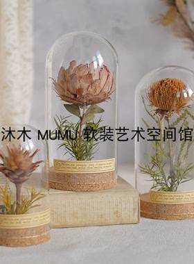 复古植物标本摆件向日葵玻璃罩微景观创意生日礼物书架装饰送老师