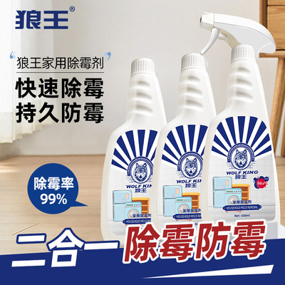 热卖15年家用除霉剂去霉斑喷雾剂