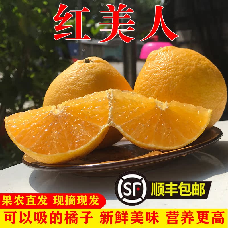 金钻美人爱媛28号果冻橙图片