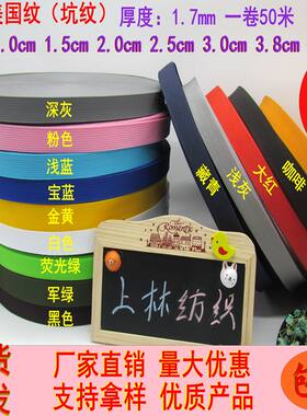 直销加厚美国纹丙纶带尼龙背包书包带扁带织带diy辅料PP织带多色