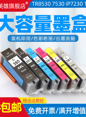 磁电英雄适用佳能BCI380/1墨盒TS7430 TS7330 TS6330 TS6230 TS6130 TR9530 TR8630A TR7530彩色打印机墨水盒