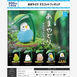 【香菜面包】预售     Qualia 躲雨的小鸟 鹦鹉 猫头鹰摆扭蛋