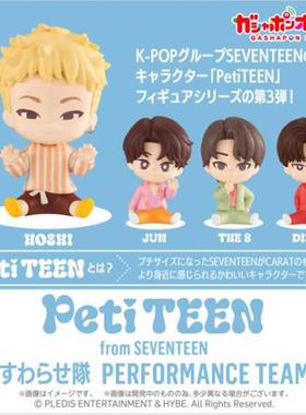 【香菜面包】预售   BTS SVT PetiTEEN坐姿公仔表演队3 摆