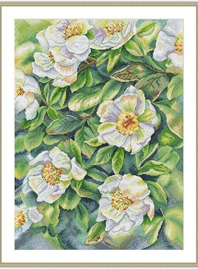 喜爱十字绣  Enjoy437-白色蔷薇花  十字绣套件 DMC线 E线