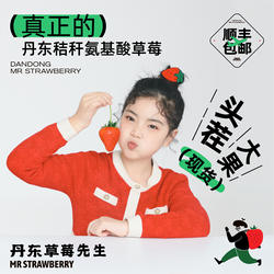 丹东草莓东北马家岗秸秆99奶油新鲜红颜大孕妇九九牛奶草莓礼盒