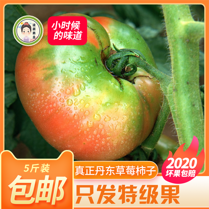 新鲜柿子丹东草莓番茄草莓柿子新鲜绿腚柿子鹰爪油柿子5斤,水产肉类/新鲜蔬果/熟食,番茄,淘宝优惠券,粉丝福利购,淘宝优惠卷