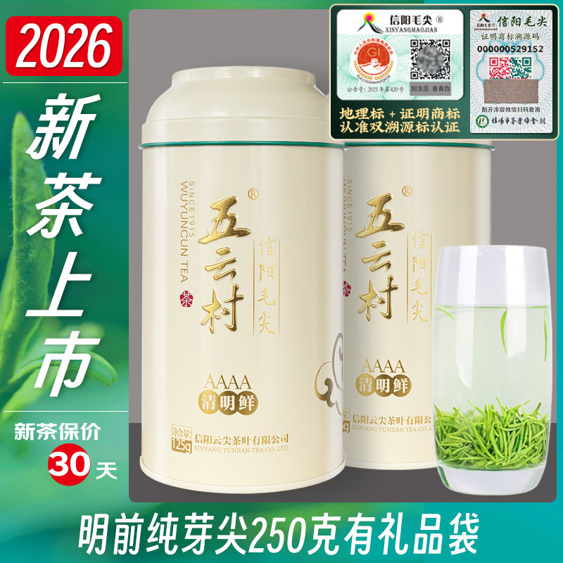 2026新茶上市信阳毛尖五云村250g