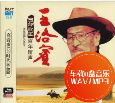 西部歌王王洛宾的歌 车载u盘音乐 wav/mp3 在那遥远的地方