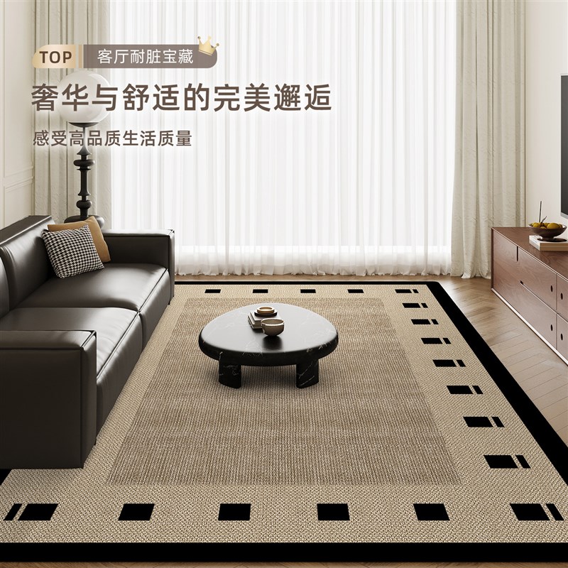 2025新款客厅地毯轻奢高级感卧室床F边地垫免洗可擦家用沙发茶几
