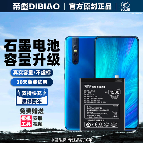 vivox21a电池大容量原装幻彩版