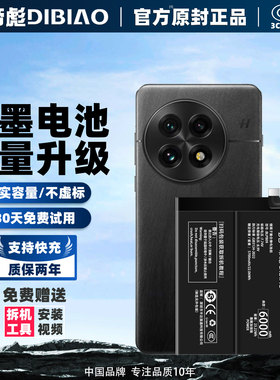 帝彪适用于一加13电池oneplus13手机PJZ110大容量BLPB09更换内置电板