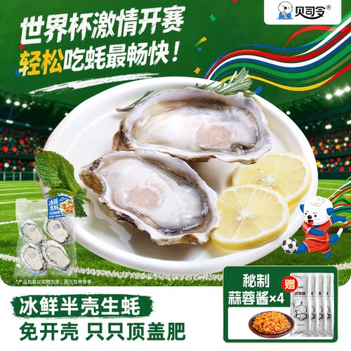 贝司令冰鲜顶盖肥生蚝