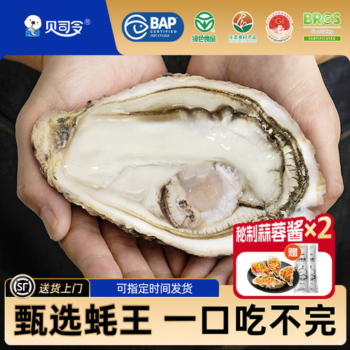 鲜活超大生蚝王5XL-7XL
