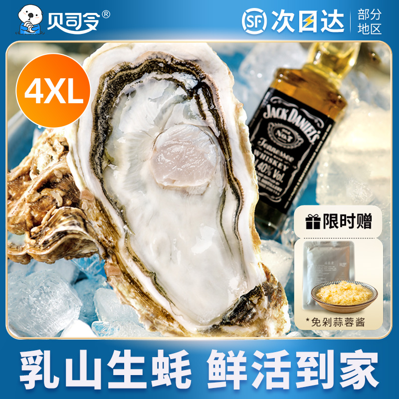 【直播推荐】贝司令乳山鲜活生蚝4XL净重4斤牡蛎海鲜送蒜蓉酱_贝司令旗舰店_水产肉类/新鲜蔬果/熟食-第4张图片-提都小院