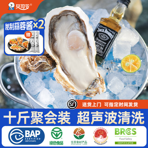 贝司令乳山生蚝鲜活到家