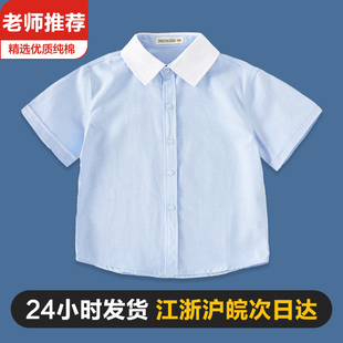 蓝衬衣小学生表演出中大童女孩纯棉校服 夏季 女童白色衬衫 儿童短袖