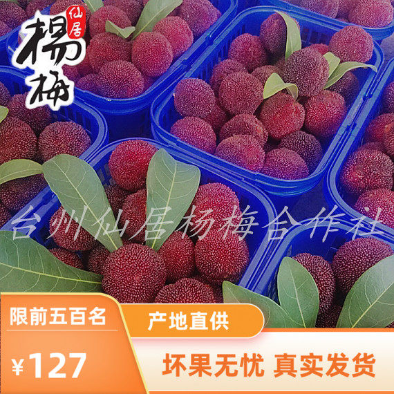 正宗仙居杨梅东魁水果6斤装新鲜孕妇可吃端午送礼农家顺丰包邮