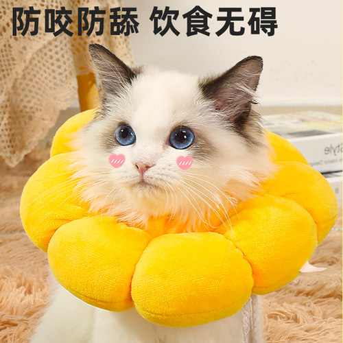 阿莫尔伊丽莎白圈猫项圈底价促销