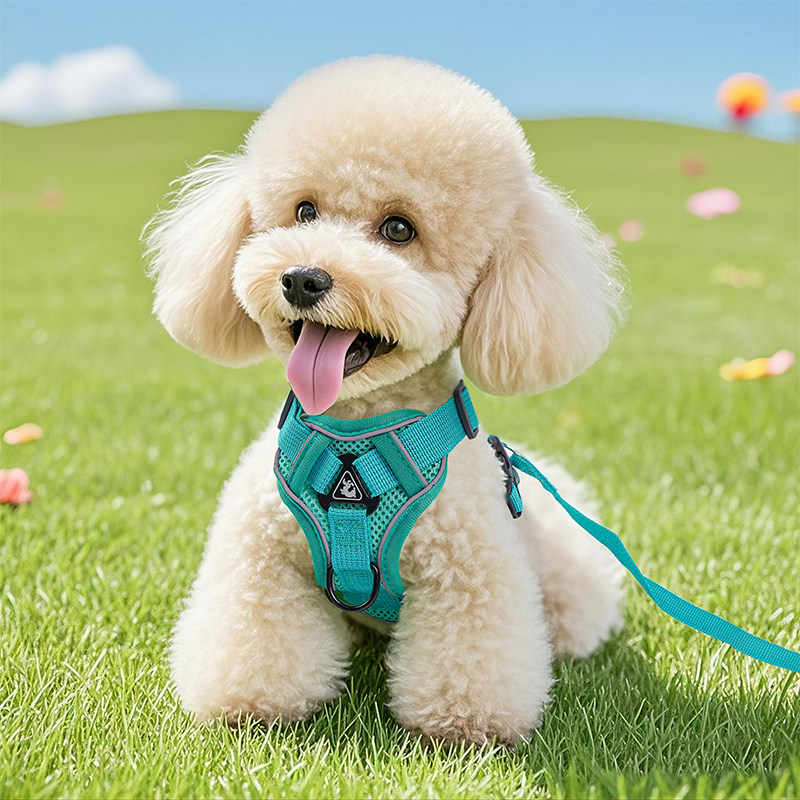 狗狗牵引绳透气可调节防走丢贵宾泰迪比熊背心式反光胸背带遛狗绳