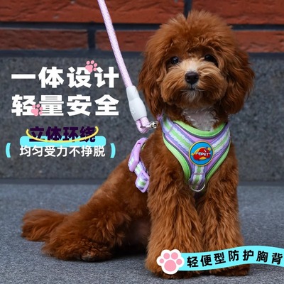 狗狗牵引绳背心式带夜光小型犬泰迪比熊博美遛狗绳子胸背带狗链子