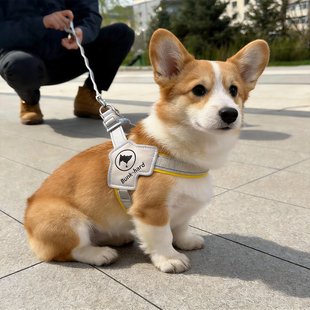 狗狗牵引绳柯基柴犬比熊博美防挣脱胸背带外出遛狗专用绳狗链子