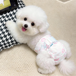 狗狗尿不湿生理裤泰迪比熊公狗母狗专用安全姨妈巾幼犬卫生纸尿裤