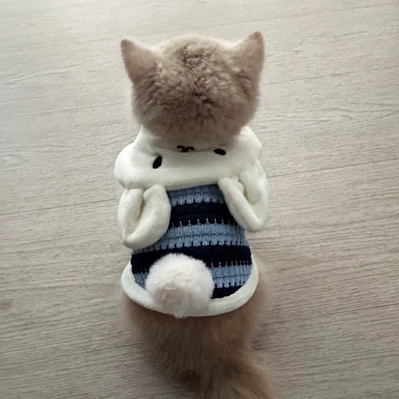 小奶猫幼猫衣服秋冬季小体比熊泰迪马甲1斤2斤约克夏幼犬小狗冬装图片