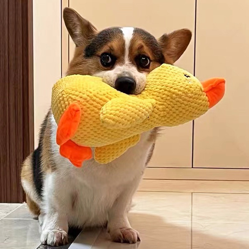 狗狗玩具自嗨发声解闷神器宠物小狗毛绒玩偶大狗磨牙耐咬狗狗用品