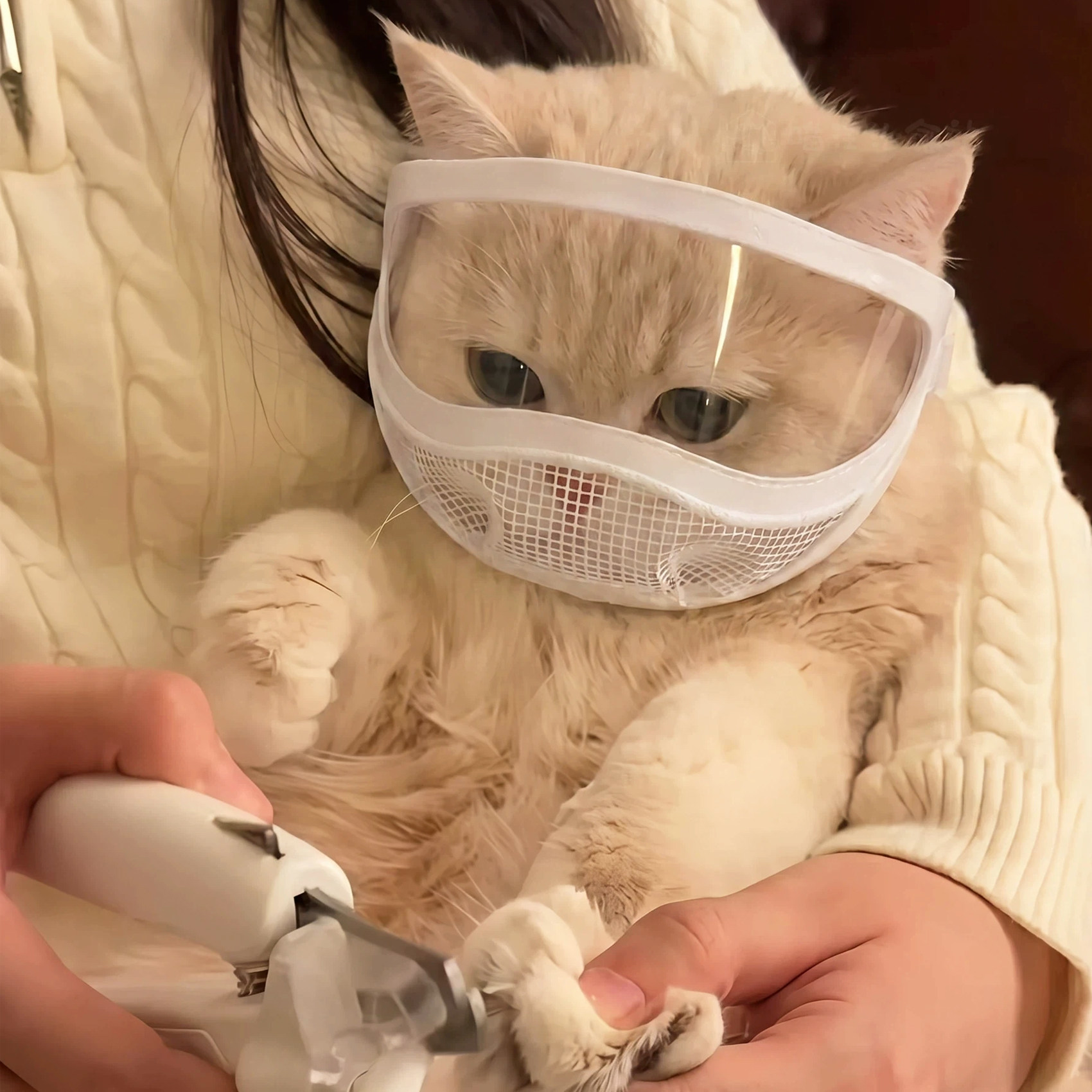 猫咪嘴套绝育防咬头套剪指甲洗澡宠物小猫清洁面罩透气防舔神器