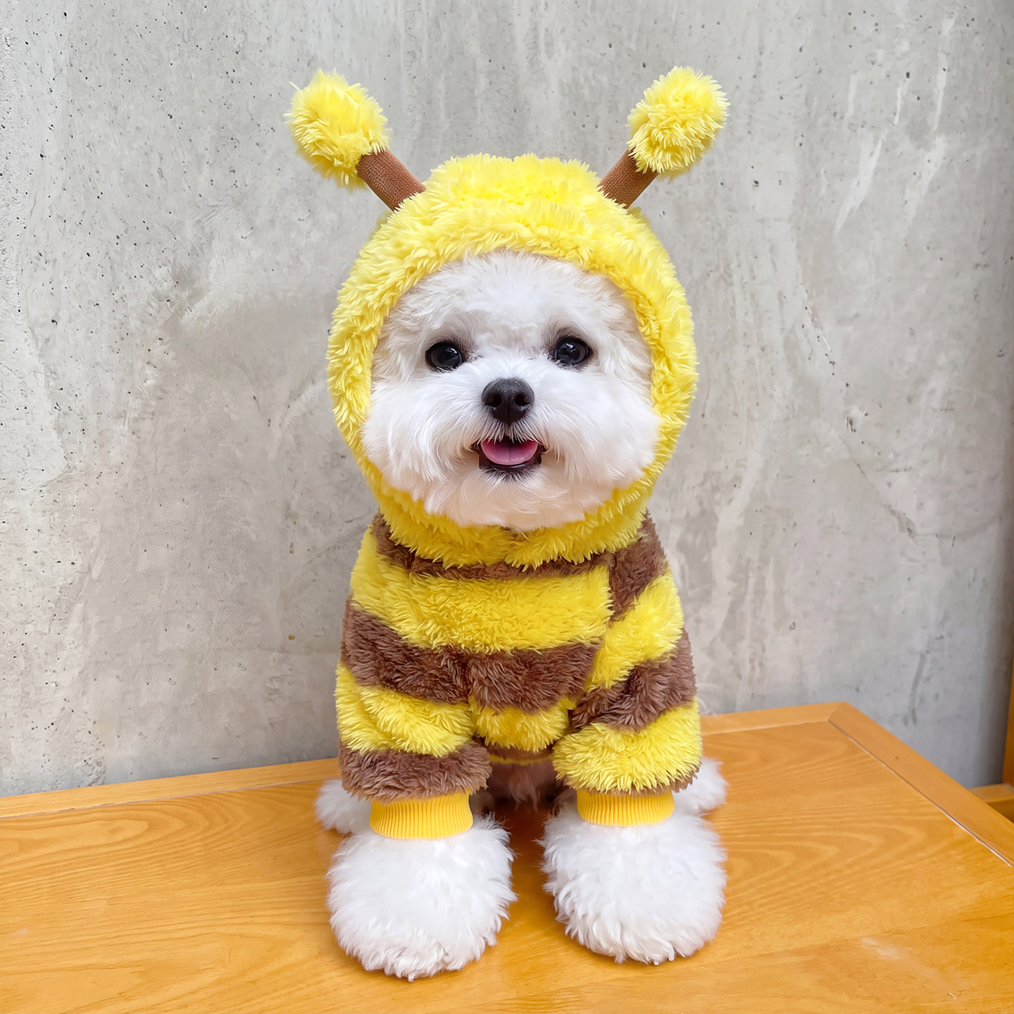狗狗衣服秋冬小型犬保暖加厚加绒冬装比熊泰迪可牵引猫咪蜜蜂绒衣