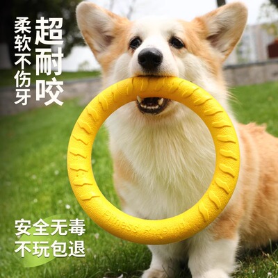 狗狗玩具中大型犬飞盘圆环柯基边牧互动训练磨牙耐咬大狗解闷神器