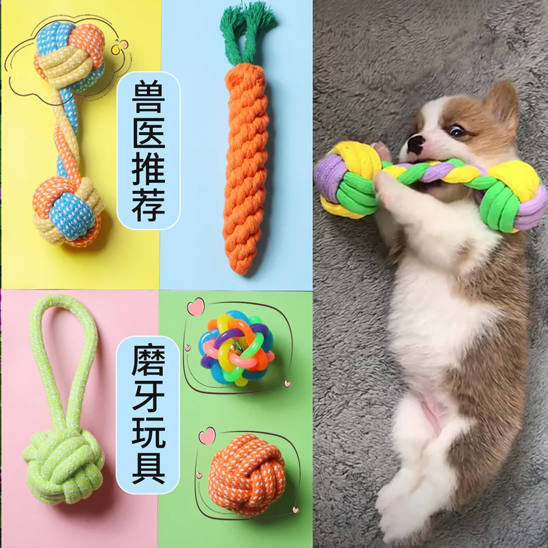 狗狗玩具磨牙耐咬泰迪比熊柯基绳结球解闷自嗨奶狗小型犬咬绳用品