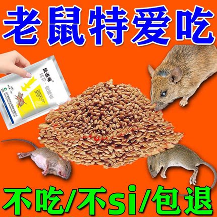 老鼠药室外超强力灭鼠药毒高老鼠特效非神药锅端耗子一闻就倒正品