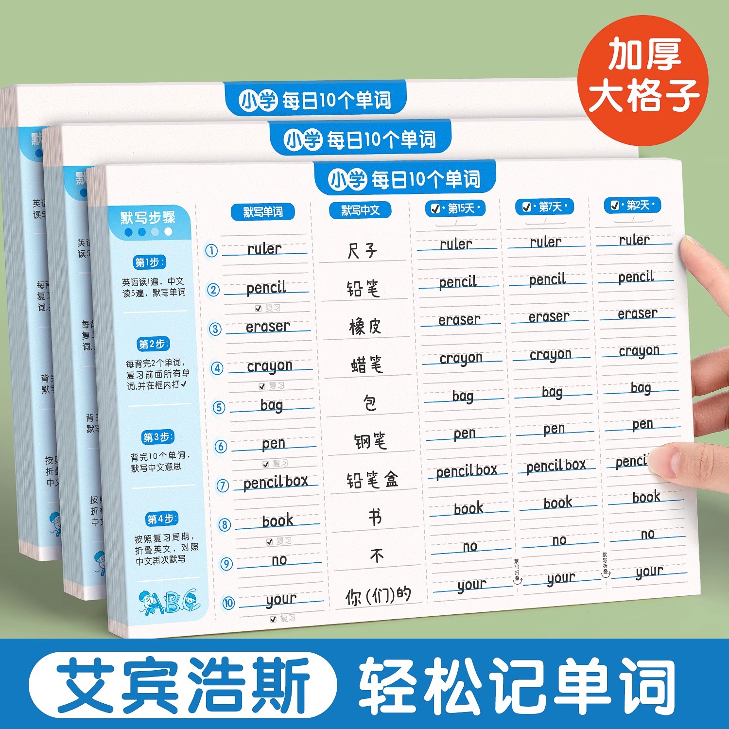 艾宾浩斯英语单词本记忆曲线听写