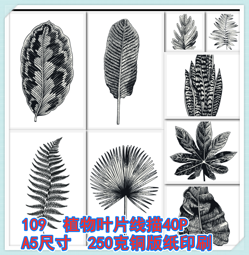 109少儿美术创意临摹卡片手绘范画植物叶子树叶线描40张考级素材